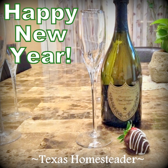 Happy New Year champagne #TexasHomesteader