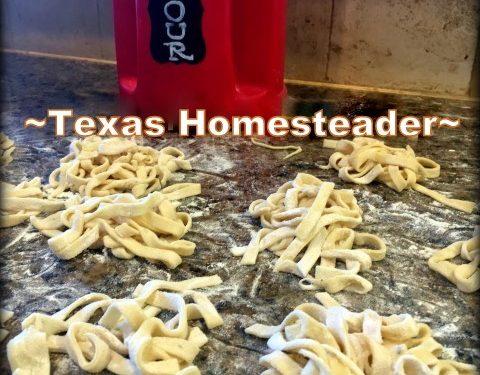 Homemade Pasta (With or Without A Pasta Maker) - The House & Homestead