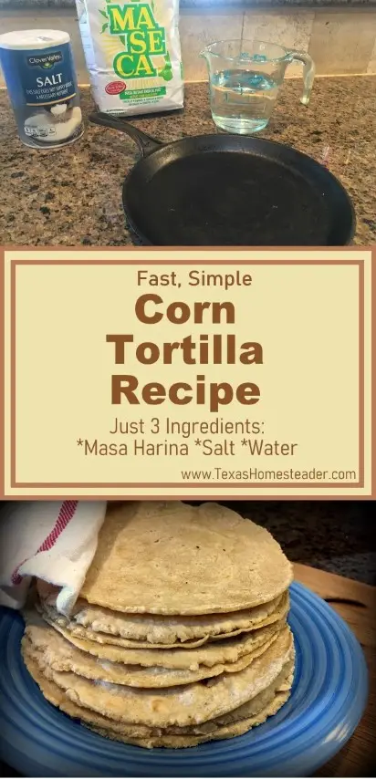 Simple corn tortilla recipe uses only 3 ingredients: Masa harina, salt & water #TexasHomesteader