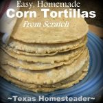 Making your own homemade corn tortillas is easy with this homemade corn tortilla recipe. #TexasHomesteader