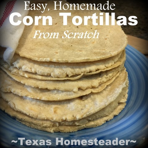 Homemade Corn Tortillas. By using food I'd already prepared this enchilada casserole was inexpensive and environmentally friendly as well. Check out my easy recipe #TexasHomesteader