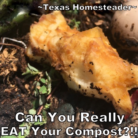 Can you eat your compost? Come see ways I've saved food previously destined for the compost pile for delicious use in my kitchen. #TexasHomesteader