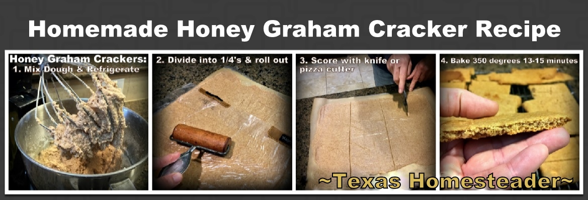 I needed graham crackers for a recipe so I made them myself. I even made them extra honey-flavored! Easy, Inexpensive & Delicious. #TexasHomesteader