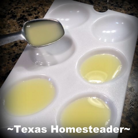 You could buy a plastic bottle of real lemon or lime juice, but why? Come see my easy, zero-waste (and CHEAP) solution for having 100% real citrus juice for my recipes. #TexasHomesteader