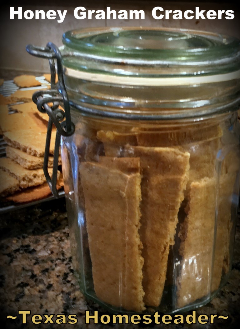 I needed graham crackers for a recipe so I made them myself. I even made them extra honey-flavored! Easy, Inexpensive & Delicious. #TexasHomesteader