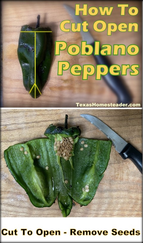 Roasted Poblano pepper hatch chile peppers - where to cut and remove seeds #TexasHomesteader