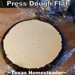 Homemade Corn Tortillas! As I stood in the store looking at that handful of corn tortillas sold in a plastic bag I wondered, "Should I make these myself?" Easy, delicious, cheap and waste-free! #TexasHomesteader