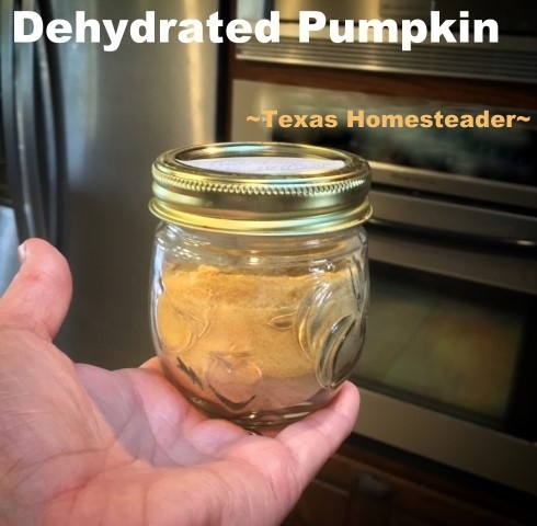 Come see how to rehydrate and use dehydrated pumpkin puree. Dehydrated Pumpkin puree stores in the pantry with no additional energy needed - a wonderful preparedness food! #TexasHomesteader