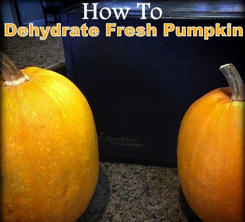 You can preserve that fresh garden pumpkin by dehydrating the puree. #TexasHomesteader