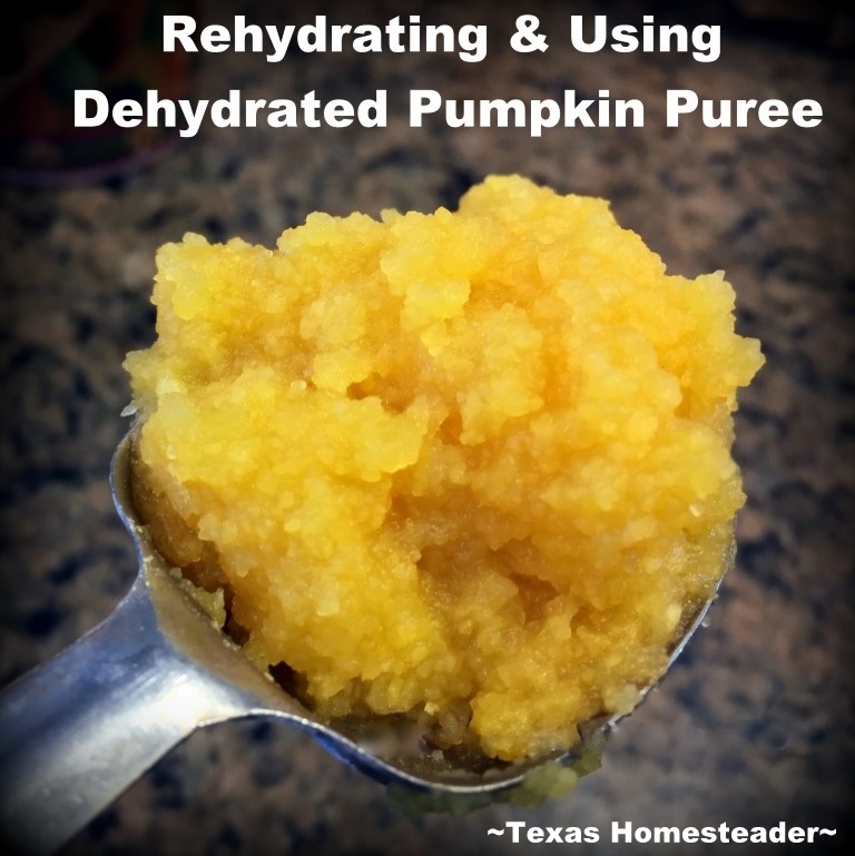Rehydrating Pumpkin Puree. Come see how to rehydrate and use dehydrated pumpkin puree. Dehydrated Pumpkin puree stores in the pantry with no additional energy needed - a wonderful preparedness food! #TexasHomesteader