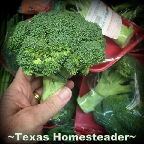 Broccoli NOT wrapped in plastic. How to reduce the plastic trash heading to the landfill. Come see my easy tips to be kind to our Mother Earth & reduce landfill-bound plastic #TexasHomesteader