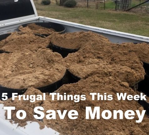 Our income is low, but there are many easy ways to save money. Come see 5 Frugal Things we did this week to save some cash! #TexasHomesteader