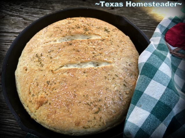No-knead rosemary skillet bread baked in cast iron skillet with fresh herbs and olive oil. #TexasHomesteader