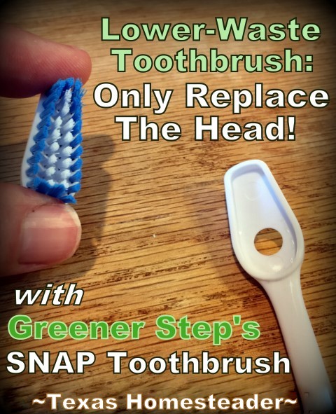 Low-Waste Toothbrush Option - replace only the worn heads and reuse the handle over & over again. A Snap toothbrush can lower your toothbrush waste by 93%! #TexasHomesteader