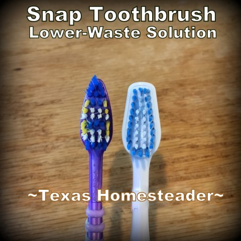 Low-Waste Toothbrush Option - replace only the worn heads and reuse the handle over & over again. A Snap toothbrush can lower your toothbrush waste by 93%! #TexasHomesteader