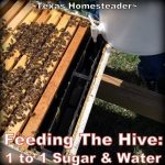 Frame Swap Split for Beehives - ~ Texas Homesteader
