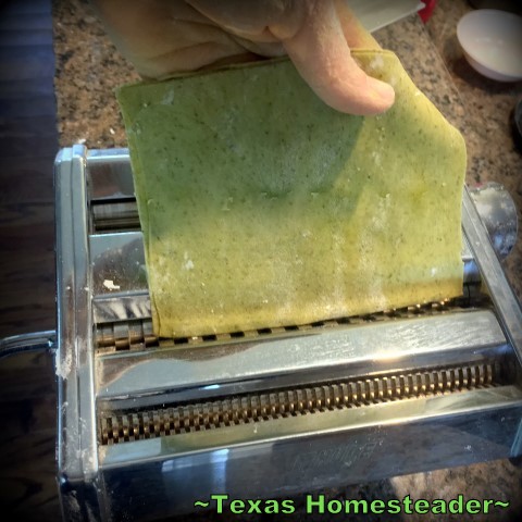 I love homemade pasta, but I wanted tri-colored pasta. So to my usual pasta dough recipe I added dehydrated & powdered spinach or carrots, leaving 1/3 plain. Delicious! #TexasHomesteader