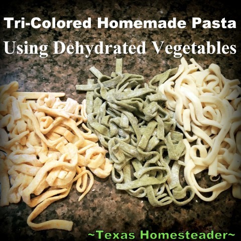 Homemade Pasta (With or Without A Pasta Maker) - The House & Homestead