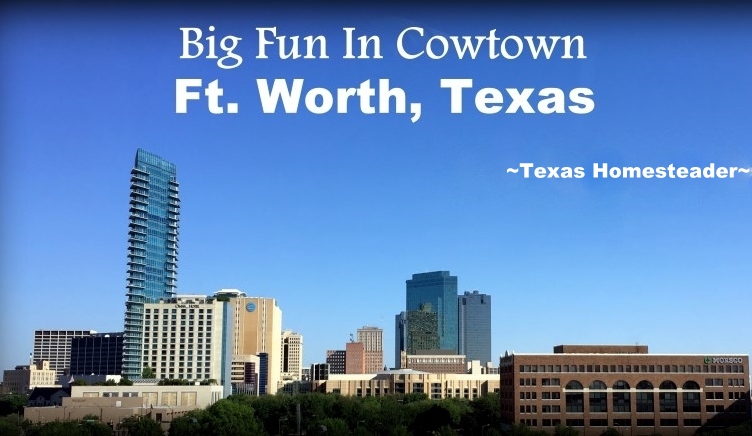 We took a vacation in Ft. Worth, Texas. I've lived in the Dallas area most of my life, so of course I've been to Ft. Worth many times. But it was always to drive to a specific location or event, never to stay & play. Now this is gonna be fun! #TexasHomesteader