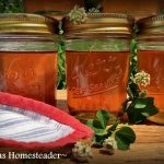 Clover blossom jelly is easy to make with the fragrant clover blossoms. #TexasHomesteader