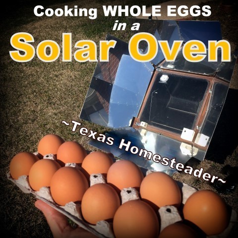 You can 'boil' eggs without water and in their own cardboard carton in a solar oven. #TexasHomesteader