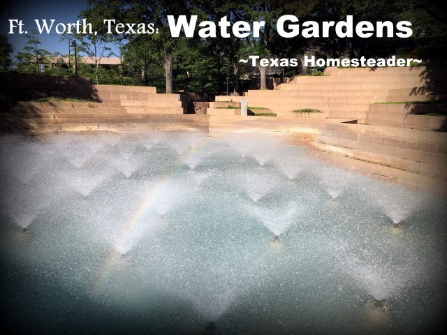 Ft. Worth Water Gardens. We took a vacation in Ft. Worth, Texas. I've lived in the Dallas area most of my life, so of course I've been to Ft. Worth many times. But it was always to drive to a specific location or event, never to stay & play. Now this is gonna be fun! #TexasHomesteader