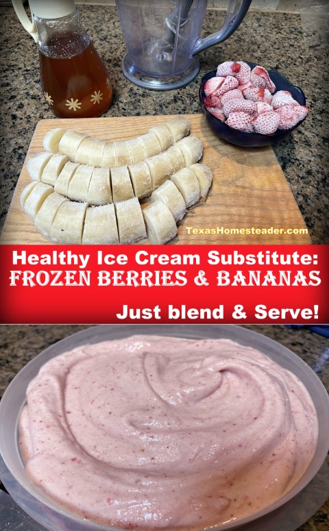 Frozen-Fruit-and-Banana-Sweet-ice-cream-Treat-Ingredients-TexasHomesteader.jpg