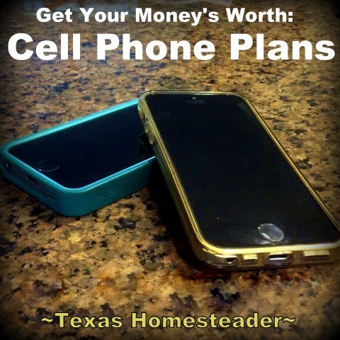 Money To Burn? Don't pay more for your cell service than you should. Don't go with the status quo because that's the way it's always been. A little research can pay off BIGTIME! #TexasHomesteader