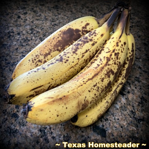 Overripe banana ripe bananas black spotted banana #TexasHomesteader