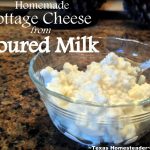 Don't throw away that lightly-soured milk - it's easy to make cottage cheese. #TexasHomesteader