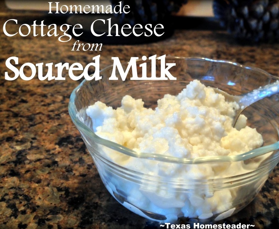 I often use lightly-soured milk to make my own delicious cottage cheese. This reduces our food waste and provides delicious food. #TexasHomesteader