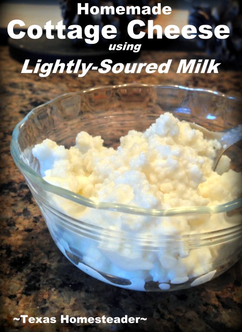 I often use lightly-soured milk to make my own delicious cottage cheese. This reduces our food waste and provides delicious food. #TexasHomesteader