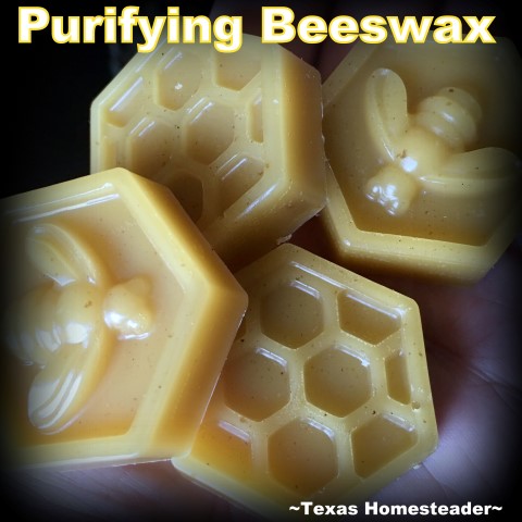 Beeswax from the hive is filtered, melted and poured into cute molds. #TexasHomesteader