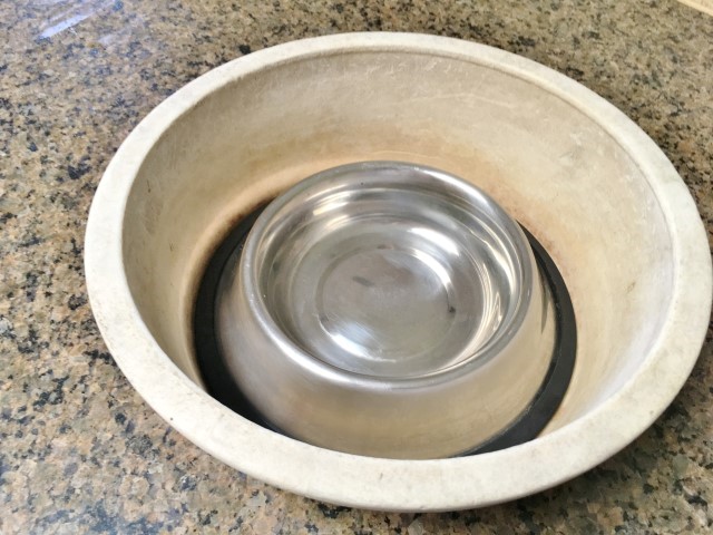 how to keep ants out of dog bowl outside