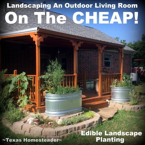 See my tips on landscaping an outdoor living area on the CHEAP! #TexasHomesteader