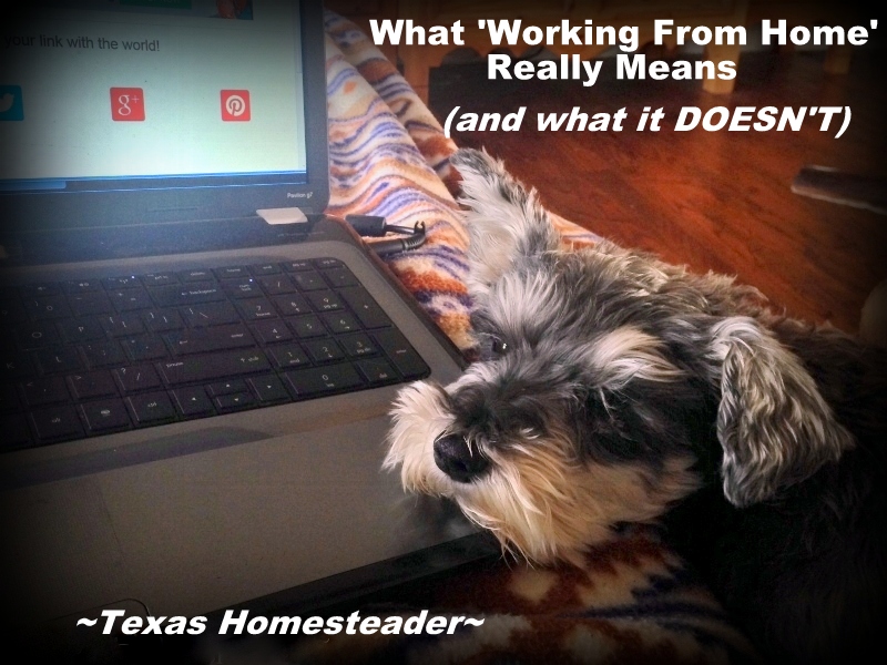 Working At Home often gives others the false perception that you have lots of free time. Whether self employed, homeschooler or stay-at-home parent, it's hard work! #TexasHomesteader