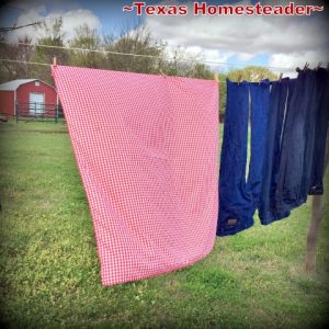 2013 Top 10 - Come see the top 10 homesteading posts of the year! #TexasHomesteader