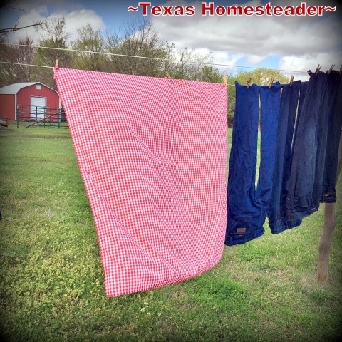 Hanging clean laundry on the line under that blazingly-blue sky just speaks to my heart, reminding me of slower & gentler days gone by. #TexasHomesteader