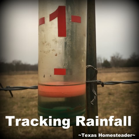 I need an easy way of tracking rainfall. Making notes on a calender doesn't work for me, but this easy Homestead Hack does. #TexasHomesteader