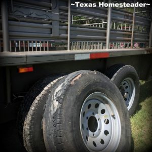 Blown tire on cattle trailer. Did you ever wonder what a day on the homestead was like? Join me to see what tasks are on tap at our N.E. Texas Homestead. #TexasHomesteader