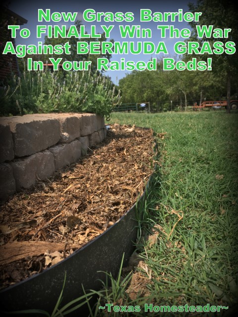 Specialty Bermuda grass barrier stops bermuda grass from growing in my landscape beds. #TexasHomesteader