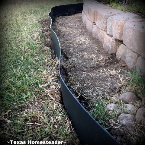 Bermuda Grass is notoriously hard to control. The edges were wavy for our first installation attempt.. #TexasHomesteader