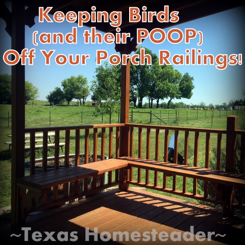 Homestead Hack: Easy Solution For Keeping Birds Off Railings