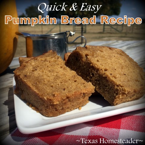 Quick & Easy Pumpkin Bread Recipe. This one uses a shortcut of a box of cakemix. Quick, Easy & DELICIOUS! #TexasHomesteader