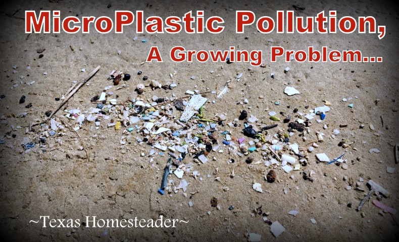 Microplastics are an ever increasing problem of plastic breaking down into tiny pieces. #TexasHomesteader