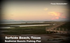 Fishing pier. Make time to spend with family! Life's short and there's no promise of tomorrow. Recently we spent family time at Surfside Beach, Texas. #TexasHomesteader