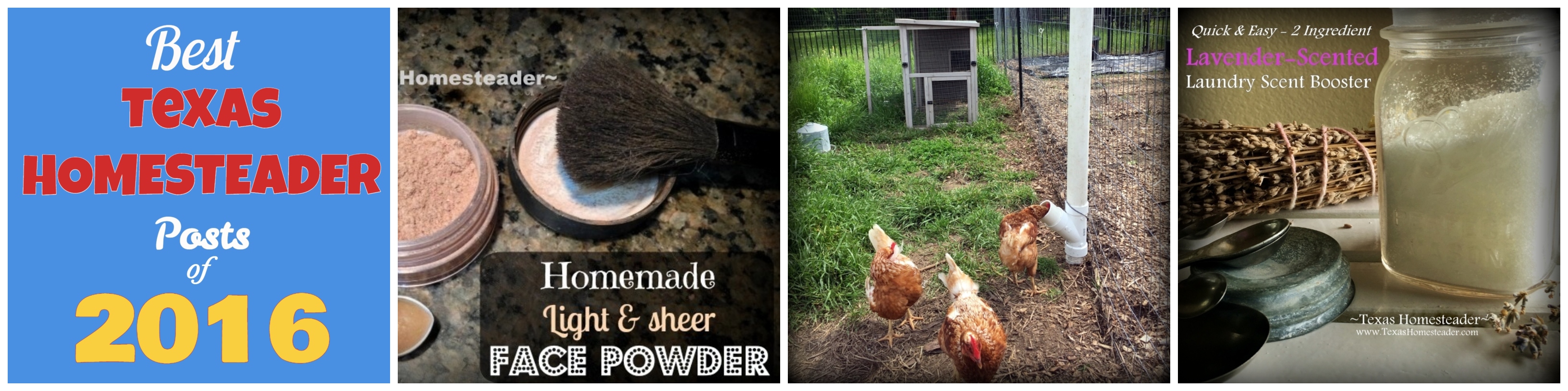Here are the Top 10 Homesteading Posts on our page since 2013.This is the yearly roundup version - all the year's top 10 in one place! #TexasHomesteader