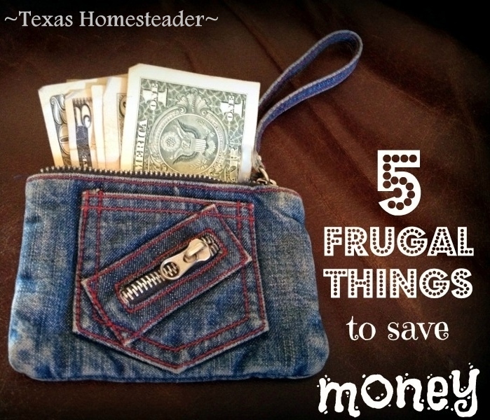 5 Frugal Things: Rainy Mud Edition #TexasHomesteader