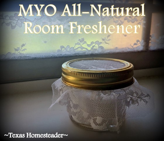 I don't want artificial air fresheners & scented candles in our home. So I easily made my own air freshener with baking soda, essential oil, a repurposed canning jar & leftover lace. #TexasHomesteader