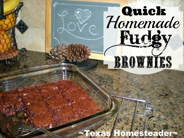 My brownie recipe makes delicious soft brownies - with just one bite you're transported into chocolate heaven. Check out my easy recipe! #TexasHomesteader